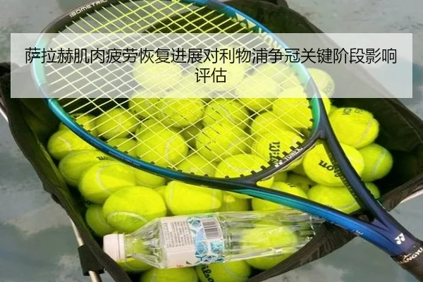 萨拉赫肌肉疲劳恢复进展对利物浦争冠关键阶段影响评估